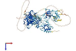USP4 Protein (AA 1-963) (His tag)