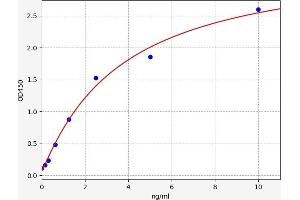 Glypican 3 (GPC3) ELISA Kit
