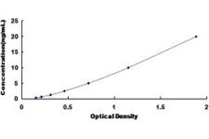 MCHR1 ELISA Kit