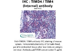 Image no. 1 for anti-T-Cell Immunoglobulin and Mucin Domain Containing 4 (TIMD4) (Internal Region) antibody (ABIN1740078) (TIMD4 Antikörper  (Internal Region))