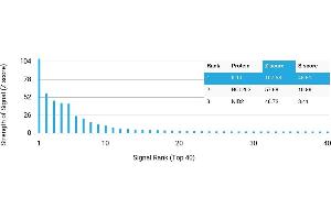 Protein Array (PAr) image for anti-Interleukin 10 (IL10) antibody (ABIN7456336)