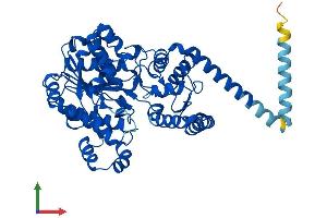 Protein Structure (PS) image for Fatty Acyl CoA Reductase 1 (FAR1) (AA 1-515) protein (His tag) (ABIN7547596)