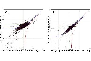 anti-Chromodomain Helicase DNA Binding Protein 1 (CHD1) (AA 1660-1710) antibody