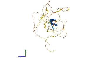 Protein Structure (PS) image for Iroquois Homeobox Protein 1 (IRX1) (AA 1-480) protein (His tag) (ABIN7556744)