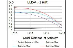 ELISA image for anti-Polo-Like Kinase 1 (PLK1) (AA 331-508) antibody (ABIN1844749)