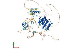 Protein Structure (PS) image for Myb-Like, SWIRM and MPN Domains 1 (MYSM1) (AA 1-819) protein (His tag) (ABIN7564013)