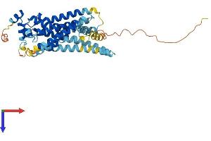 S1PR4 Protein (AA 1-386) (His tag)