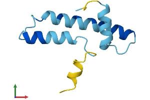 AlphaFold protein structure predicition of Mouse Recombinant Chchd7 Protein, UniprotID Q8K2Q5