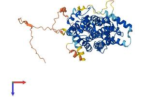 Sestrin 2 Protein (SESN2) (AA 1-480) (His tag)