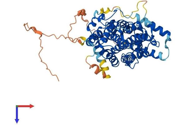 Sestrin 2 Protein (SESN2) (AA 1-480) (His tag)