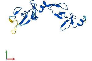 Protein Structure (PS) image for LIM Domain Only 2 (Rhombotin-Like 1) (LMO2) (AA 1-158) protein (His tag) (ABIN7551295)