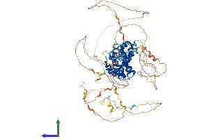 AlphaFold protein structure predicition of Human Recombinant RRP1B Protein, UniprotID Q14684 (RRP1B Protein (AA 1-758) (His tag))