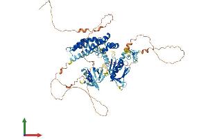 Protein Structure (PS) image for FYVE, RhoGEF and PH Domain Containing 3 (FGD3) (AA 1-725) protein (His tag) (ABIN7547738)