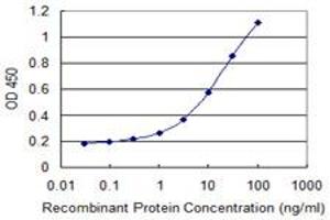 Detection limit for recombinant GST tagged EIF2S3 is 0. (EIF2S3 Antikörper  (AA 383-472))
