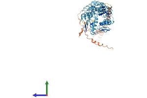 Protein Structure (PS) image for Zinc Finger Protein 98 (ZNF98) (AA 1-572) protein (His tag) (ABIN7545369)