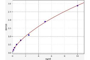 PMCH ELISA Kit