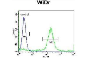 ADAMDEC1 Antibody (N-term) flow cytometric analysis of WiDr cells (right histogram) compared to a negative control cell (left histogram). (ADAMDEC1 Antikörper  (N-Term))