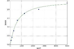 Calpain 2, (M/II) Large Subunit (CAPN2) ELISA Kit