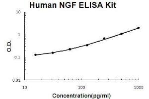 Human NGF/NGF beta PicoKine ELISA Kit standard curve (Nerve Growth Factor ELISA Kit)