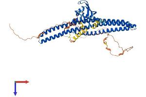 Sorting Nexin 1 Protein (SNX1) (AA 1-522) (His tag)