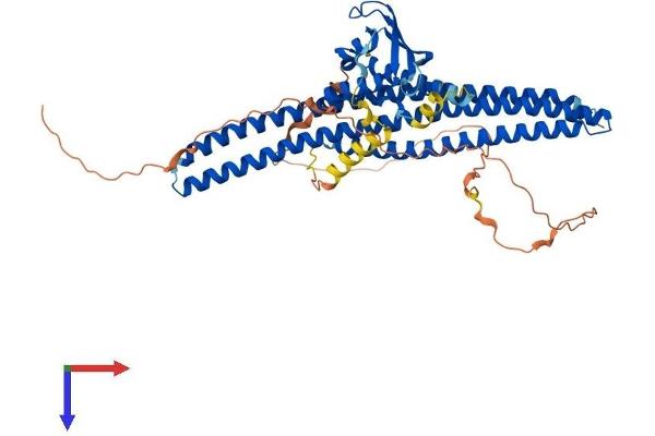 Sorting Nexin 1 Protein (SNX1) (AA 1-522) (His tag)