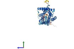 Protein Structure (PS) image for G Protein-Coupled Receptor 45 (GPR45) (AA 1-372) protein (His tag) (ABIN7548042)