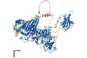 FLII Protein (AA 1-1271) (His tag)