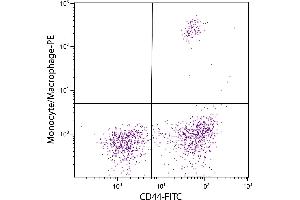 Chicken peripheral blood monocytes were stained with Mouse Anti-Chicken Monocyte/Macrophage-PE (Macrophage/Monocyte Antikörper (PE))