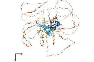 BAHD1 Protein (AA 1-772) (His tag)