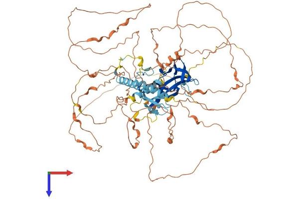 BAHD1 Protein (AA 1-772) (His tag)