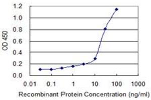 Detection limit for recombinant GST tagged C4BPB is 0. (C4BPB Antikörper  (AA 1-251))