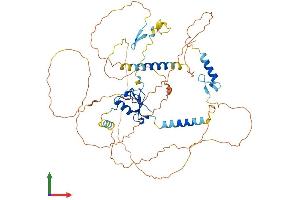 Protein Structure (PS) image for Ring Finger Protein 220 (RNF220) (AA 1-566) protein (His tag) (ABIN7558052)