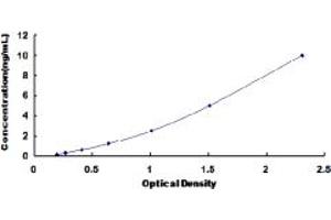 PDPK1 ELISA Kit