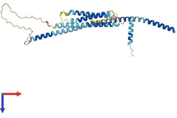 Syntaxin 18 Protein (STX18) (AA 1-334) (His tag)
