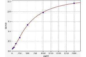 LIPE ELISA Kit