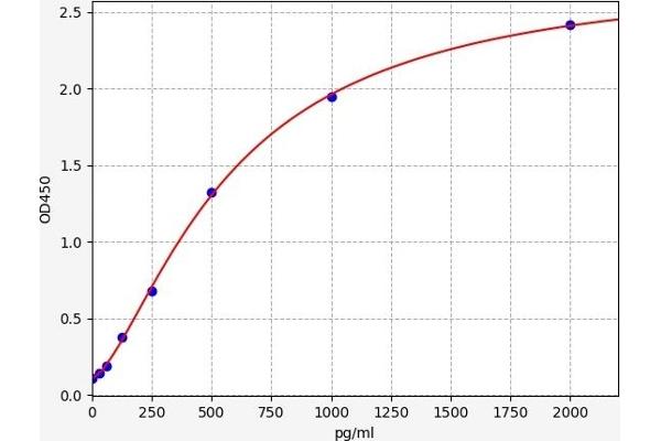 LIPE ELISA Kit