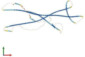 Protein Structure (PS) image for Golgin A2 (GOLGA2) (AA 1-999) protein (His tag) (ABIN7564850)