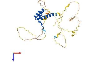 Nkx2-2 Protein (AA 1-273) (His tag)