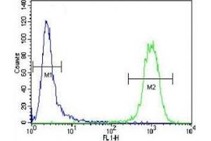 Flow Cytometry (FACS) image for anti-Activating Transcription Factor 3 (ATF3) (AA 140-168) antibody (ABIN3029847)