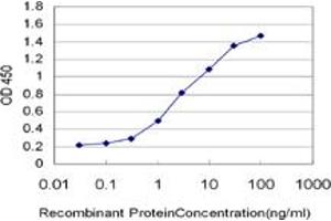 Detection limit for recombinant GST tagged IRF2 is approximately 0. (IRF2 Antikörper  (AA 216-315))
