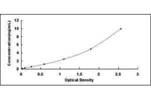 D2HGDH ELISA Kit