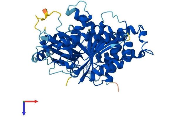 TUBG2 Protein (AA 1-451) (His tag)