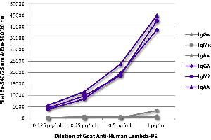 FLISA plate was coated with purified human IgGκ, IgMκ, IgAκ, IgGλ, IgMλ, and IgAλ. (Ziege anti-Human lambda Antikörper (PE))