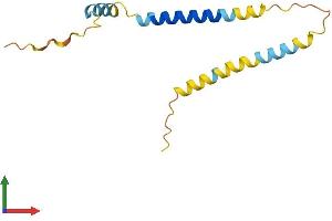 AlphaFold protein structure predicition of Human Recombinant SLC51B Protein, UniprotID Q86UW2