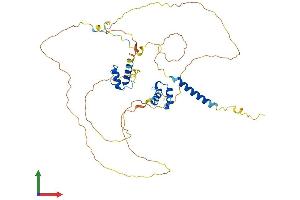 Protein Structure (PS) image for Thymopoietin (TMPO) (AA 1-454) protein (His tag) (ABIN7549002)