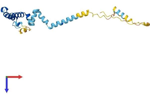DNAJC5 Protein (AA 1-198) (His tag)