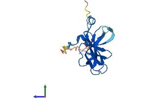 AlphaFold protein structure predicition of Mouse Recombinant Fam72a Protein, UniprotID Q8BFZ8