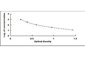 Typical standard curve (Kallikrein 12 ELISA Kit)