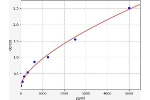 TDGF1 ELISA Kit