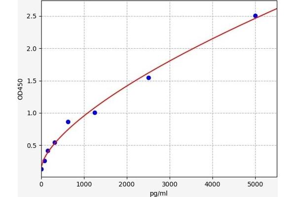 TDGF1 ELISA Kit